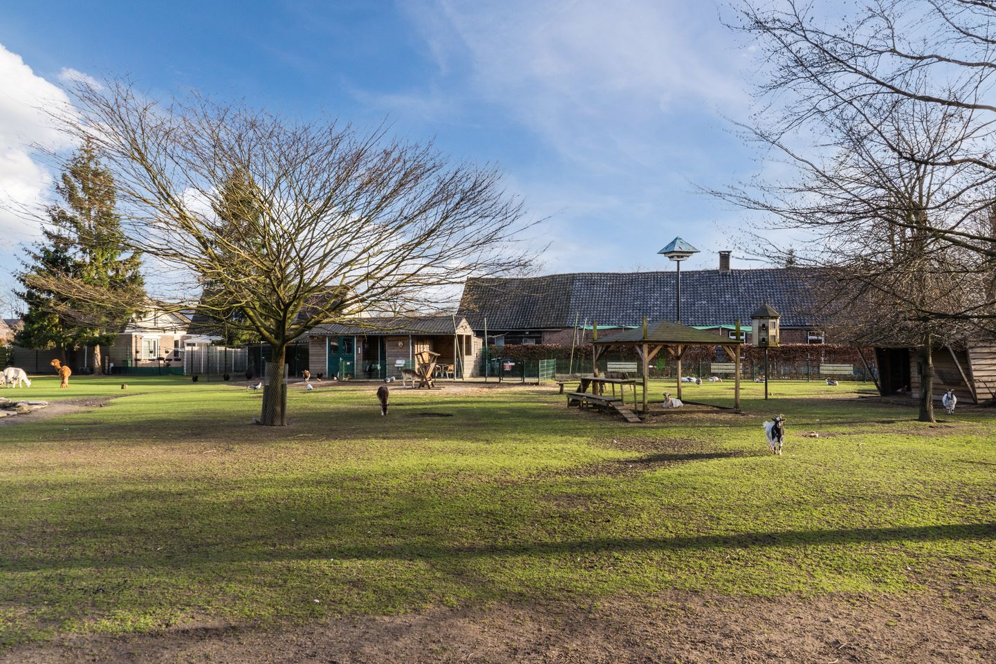 Foto 35 van Amstelstraat 31