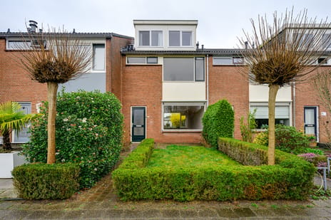 Voetweyde thumbnail