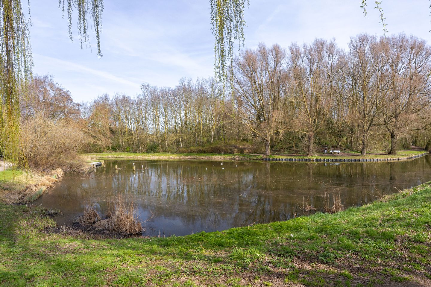 Foto 44 van Ceder 85