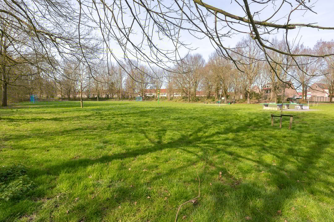 Foto 43 van Ceder 85