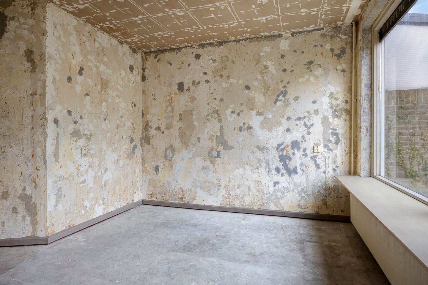 Foto 40 van Bachstraat 33