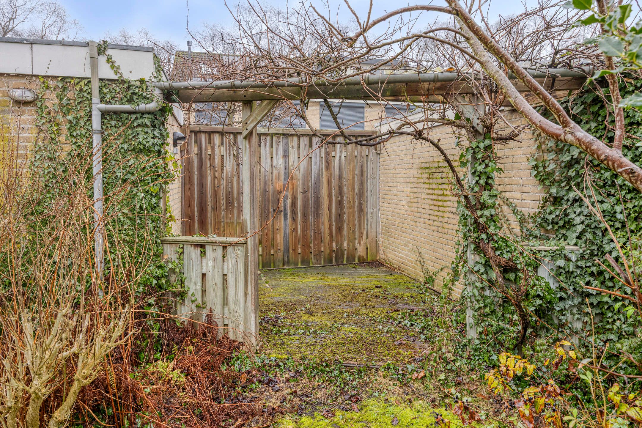 Foto 48 van Bachstraat 33