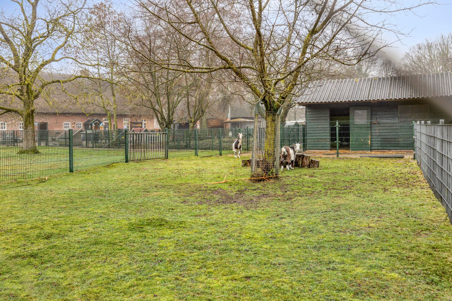 Foto 35 van Bachstraat 33