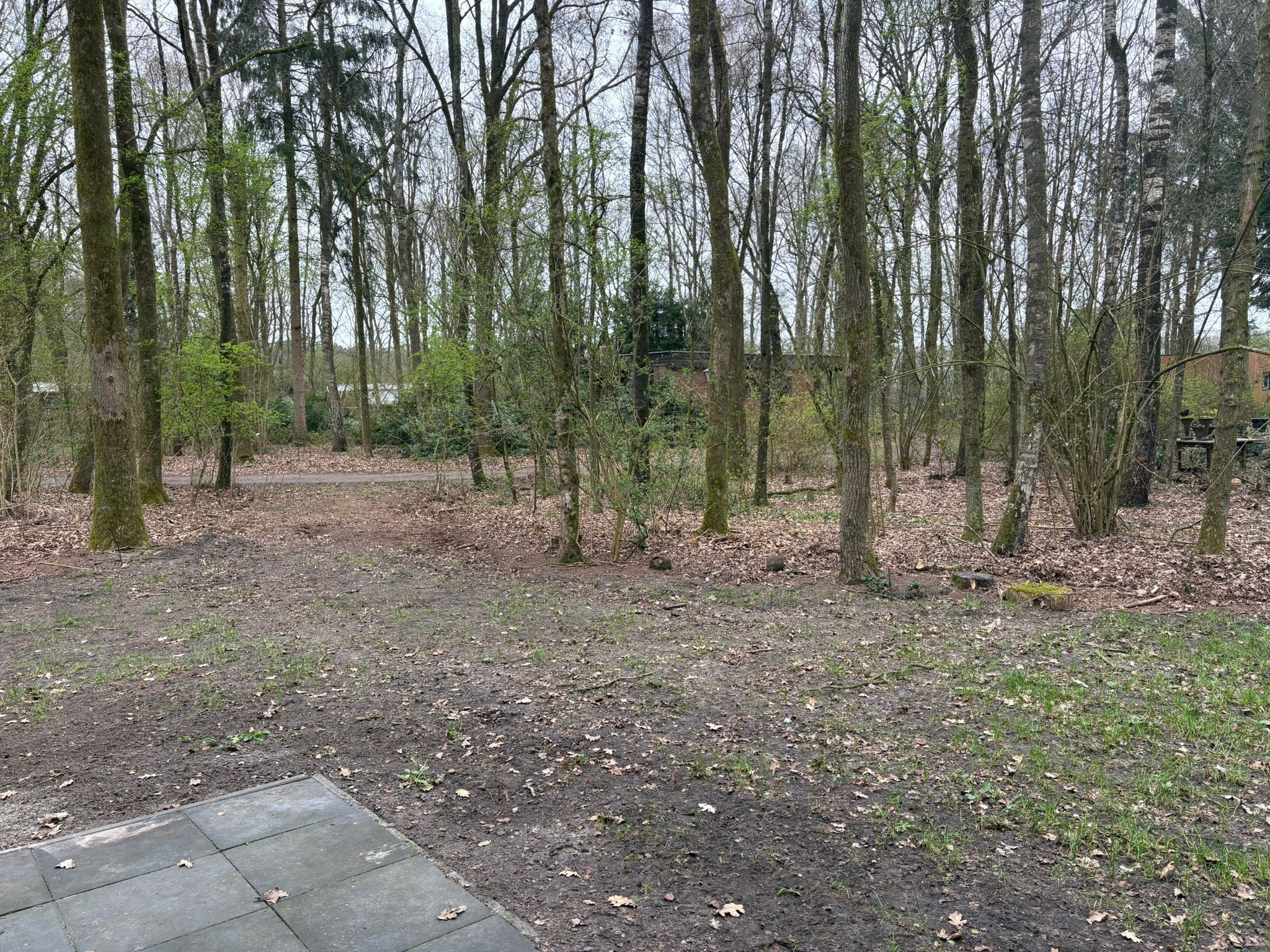 Foto 6 van Slenerweg 83-57