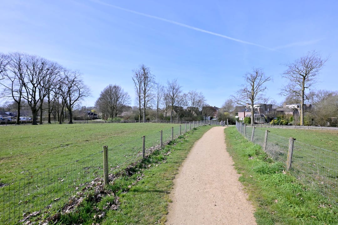 Foto 47 van Lijster 3