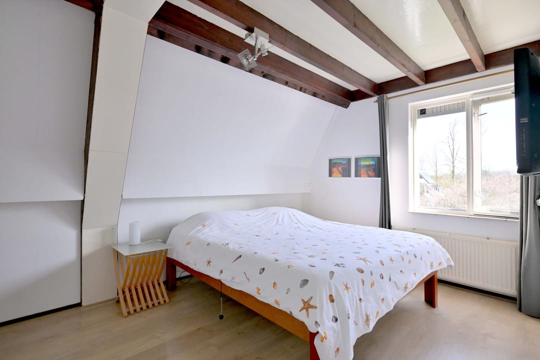 Foto 22 van Lijster 3