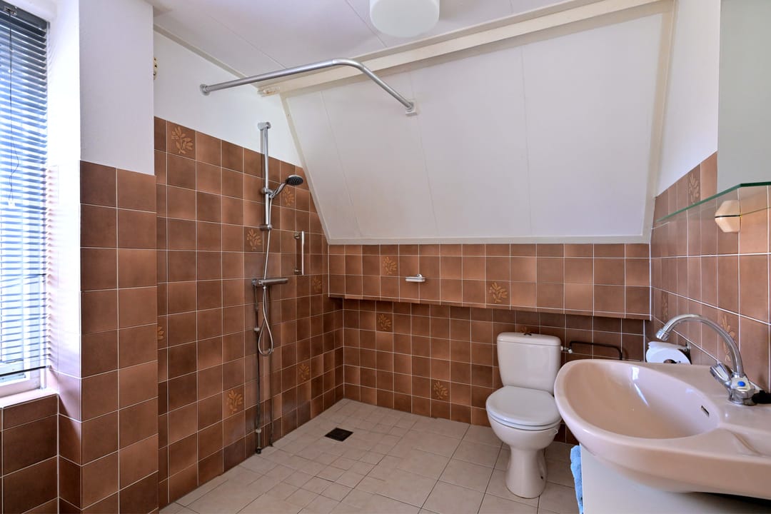 Foto 31 van Lijster 3