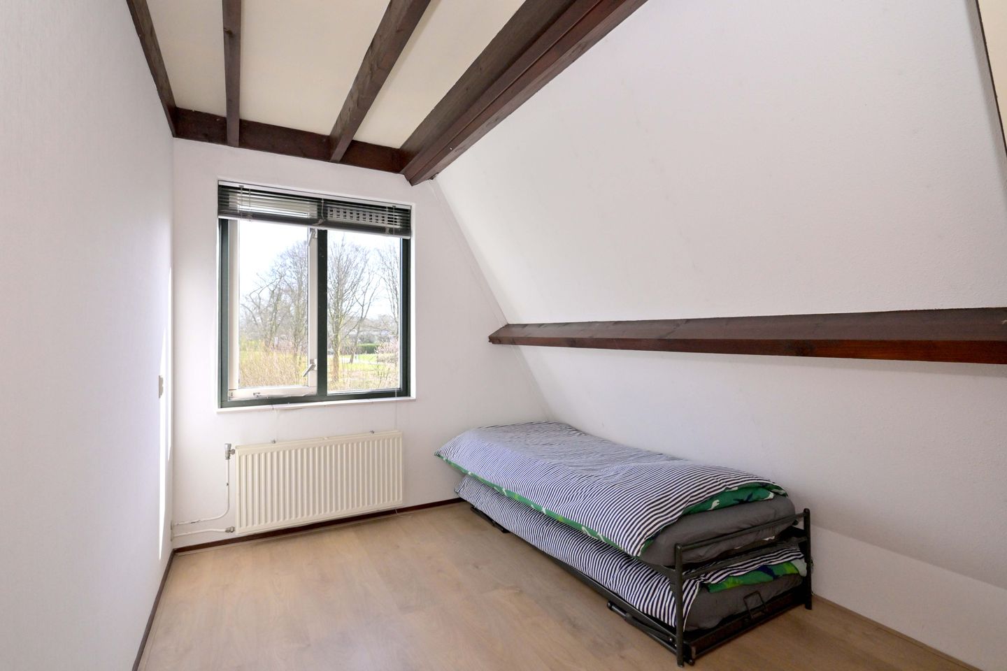 Foto 29 van Lijster 3