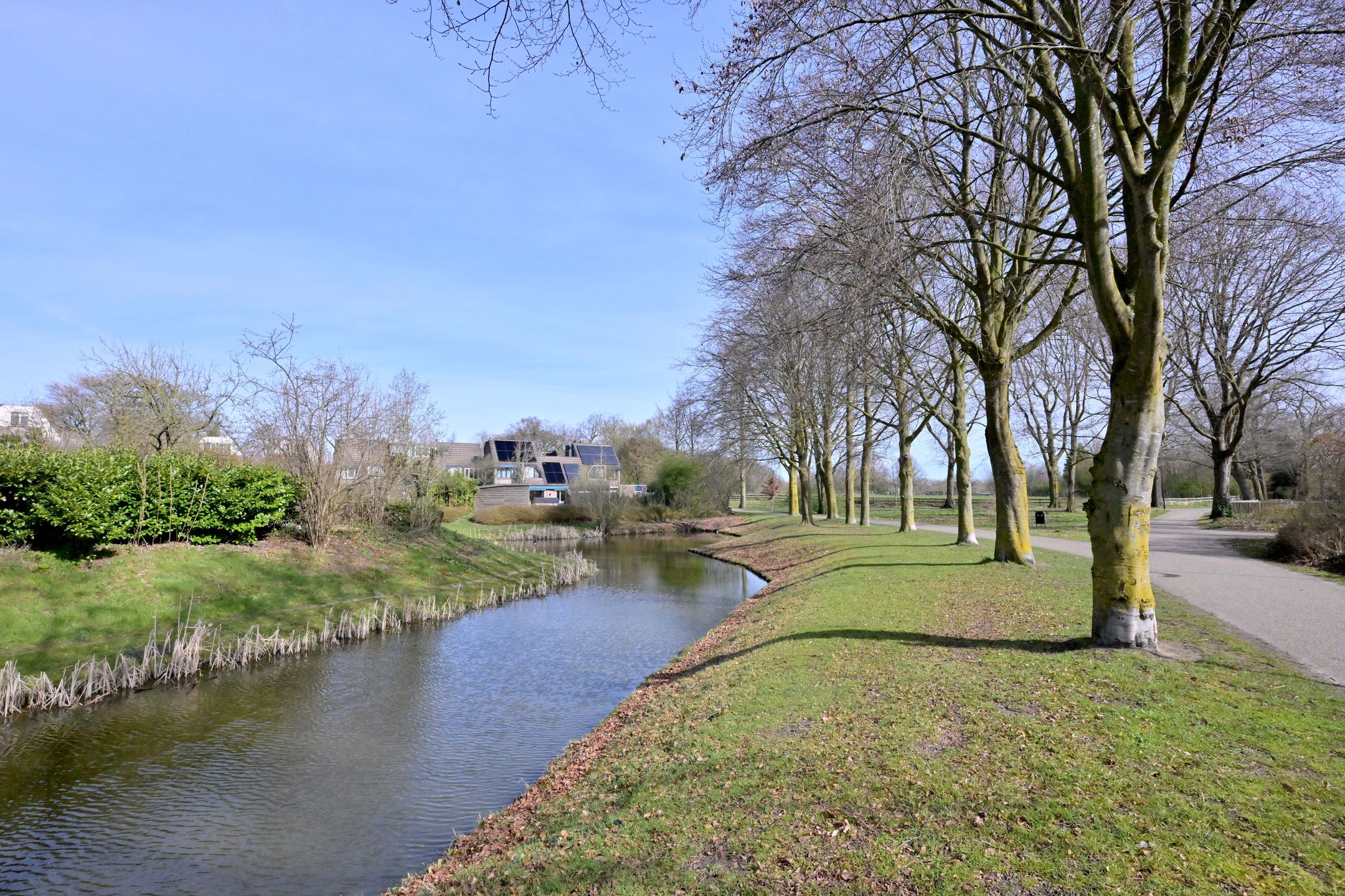 Foto 45 van Lijster 3