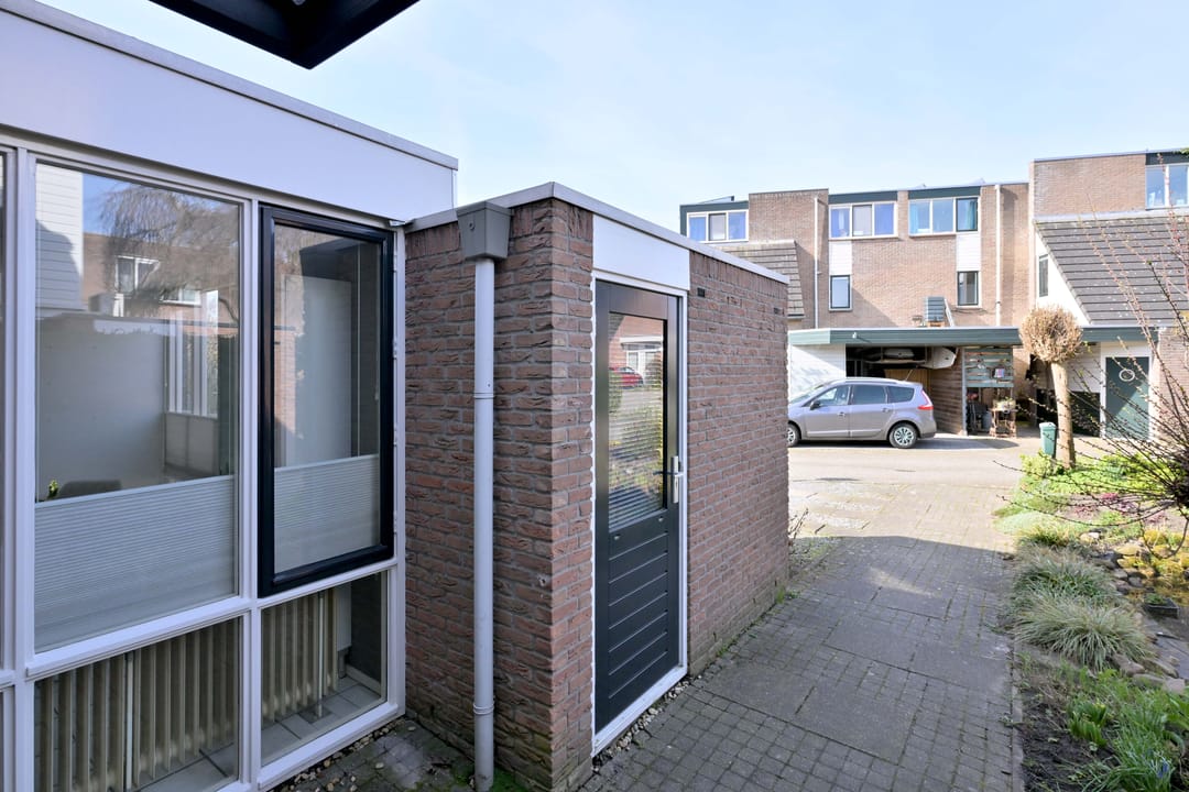 Foto 41 van Lijster 3