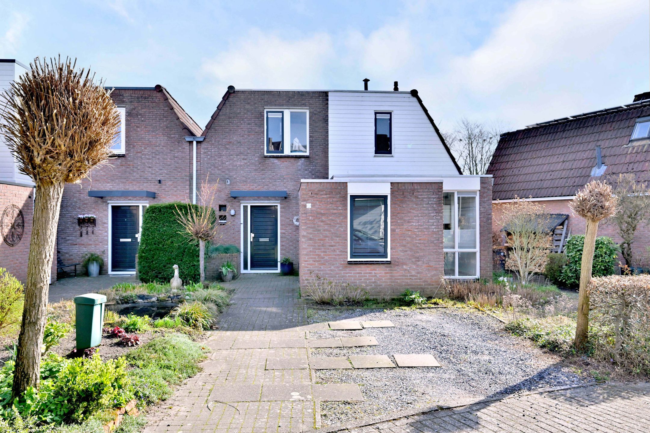 Foto 3 van Lijster 3