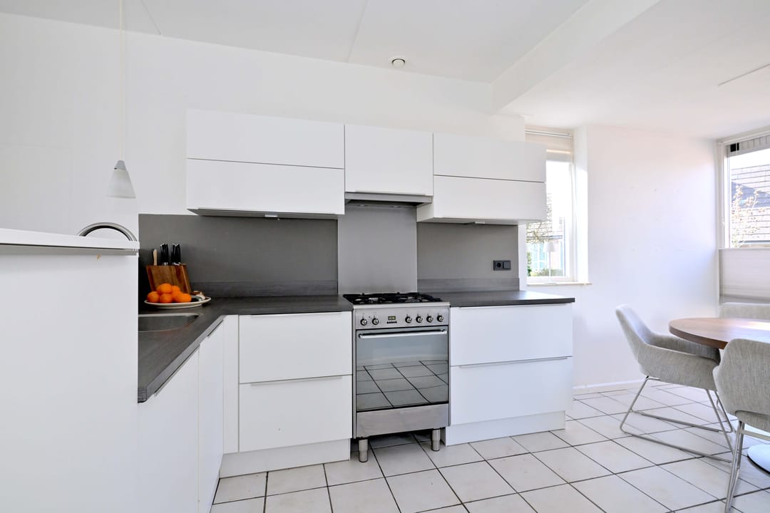 Foto 13 van Lijster 3