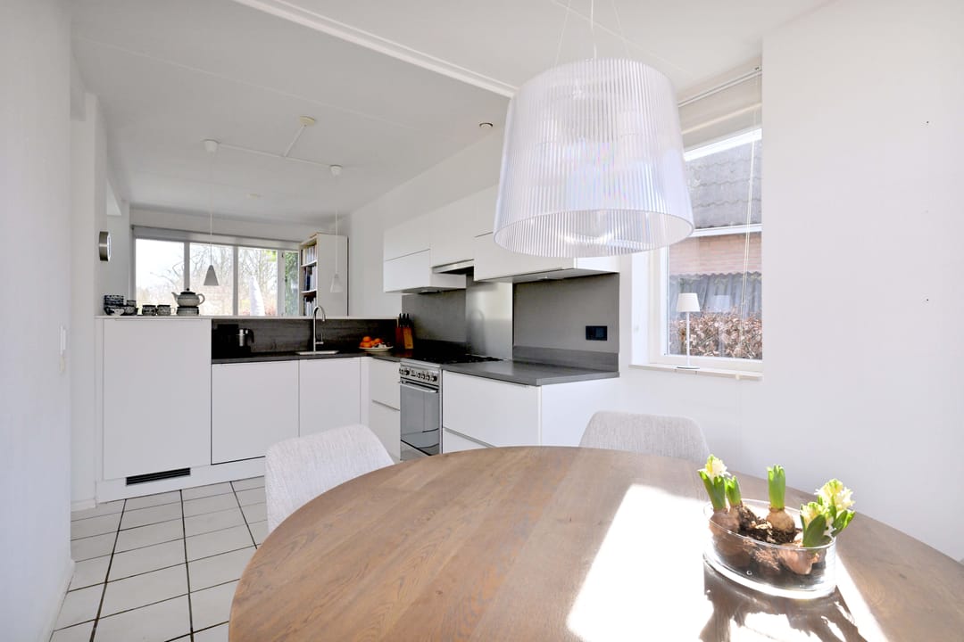 Foto 16 van Lijster 3