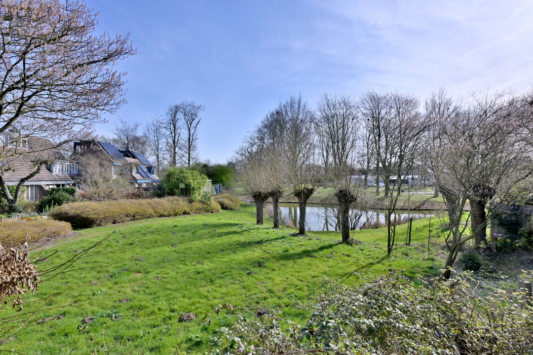 Foto 38 van Lijster 3