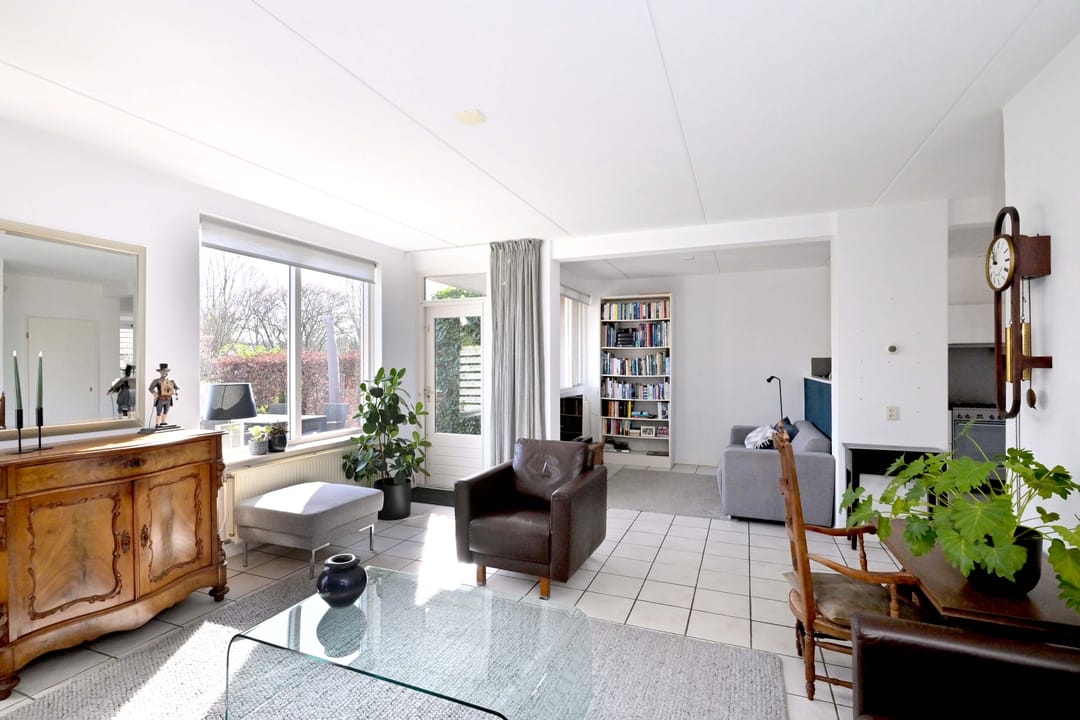 Foto 8 van Lijster 3