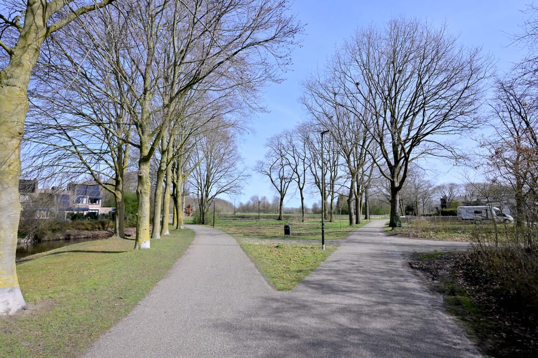 Foto 46 van Lijster 3