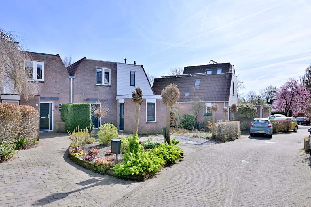 Foto 43 van Lijster 3