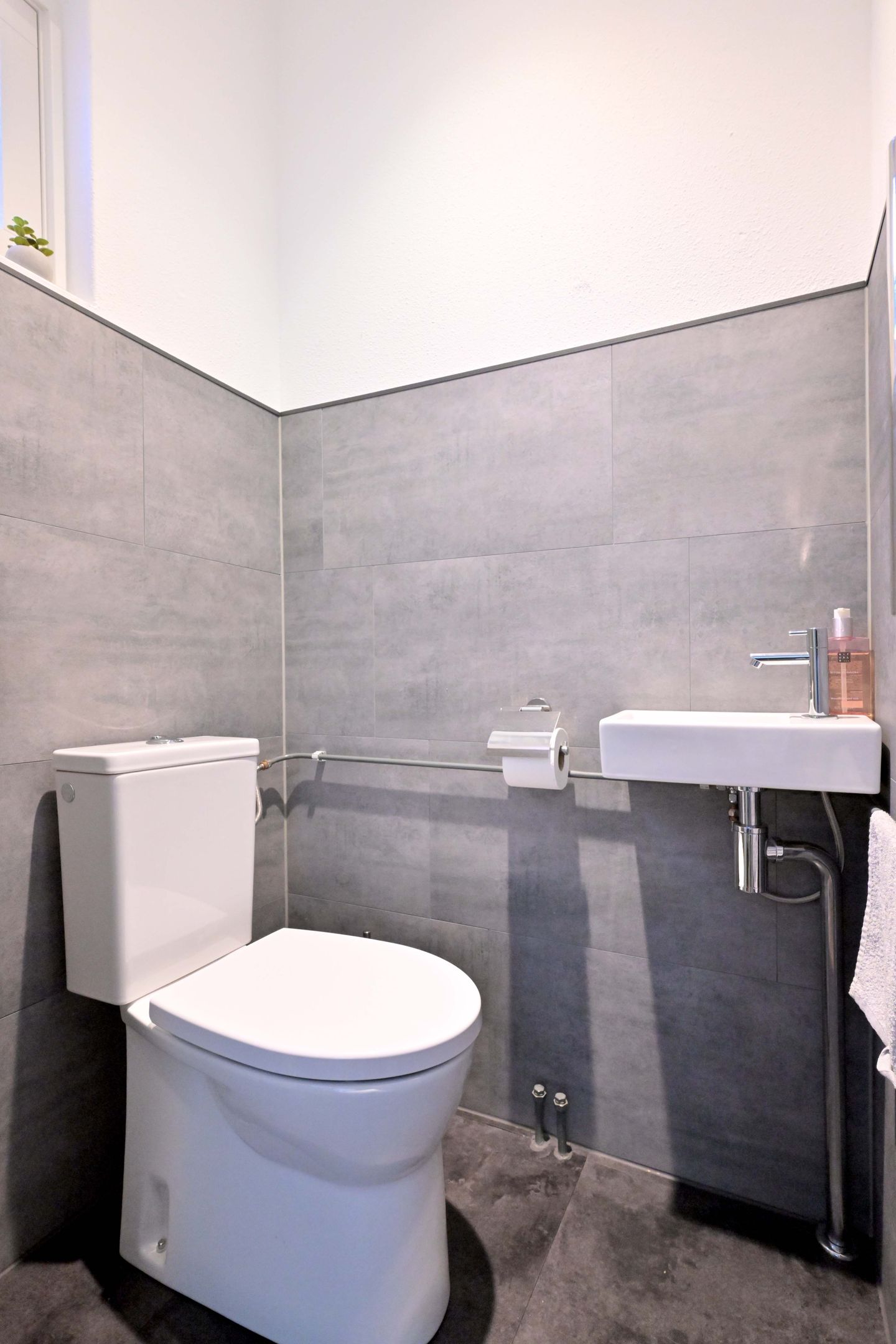 Foto 19 van Lijster 3