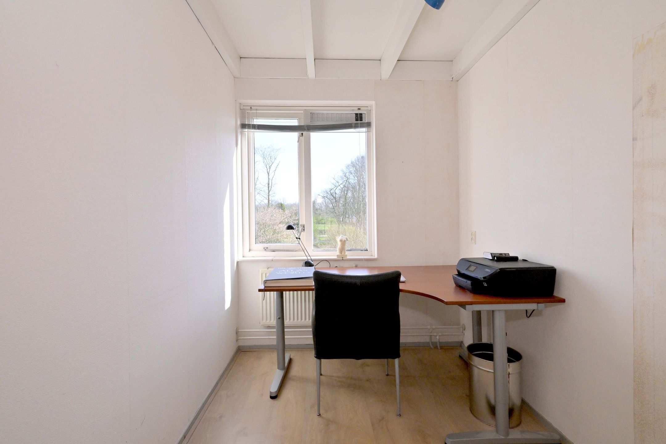 Foto 27 van Lijster 3