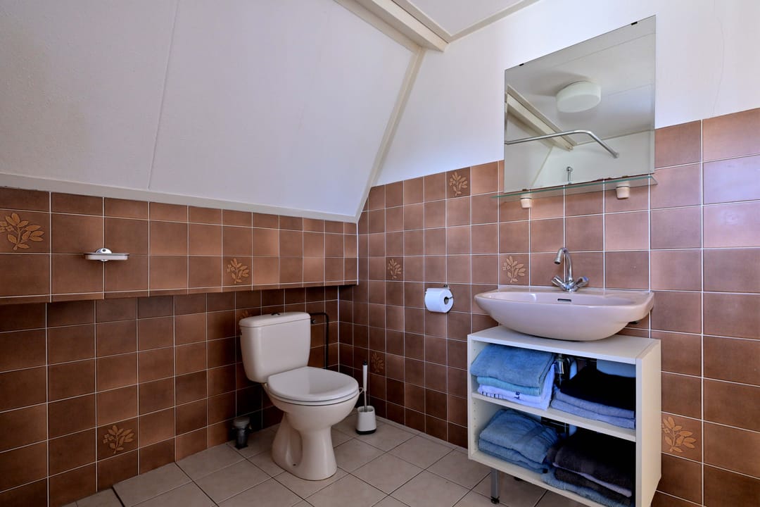 Foto 32 van Lijster 3