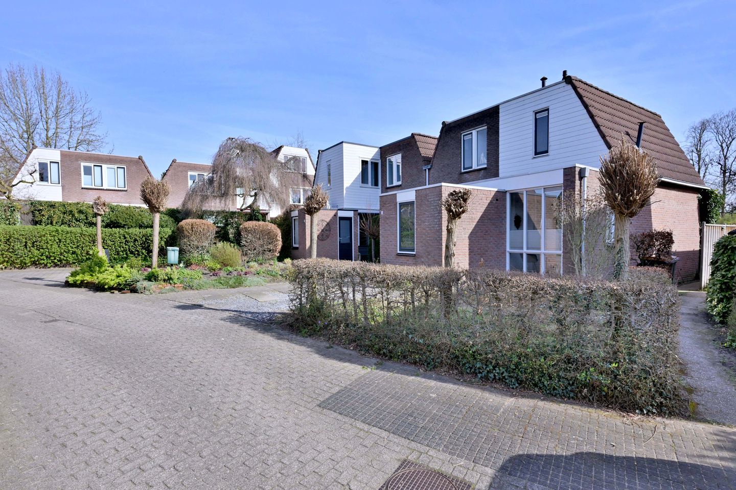 Foto 44 van Lijster 3