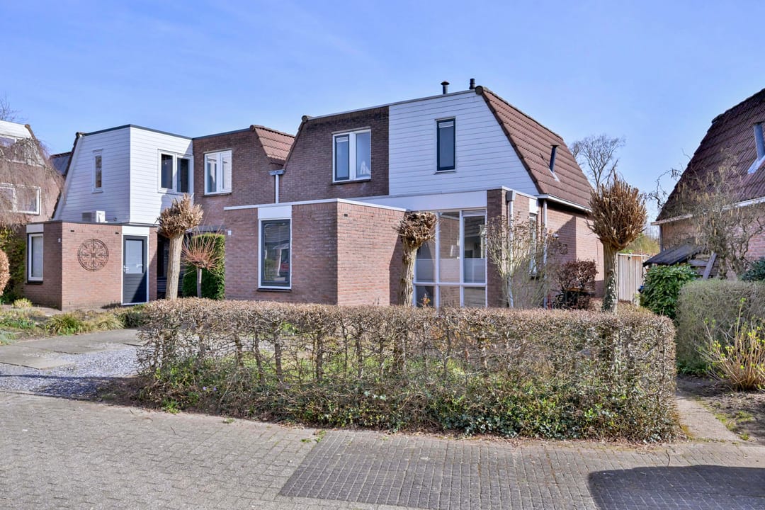 Foto 2 van Lijster 3