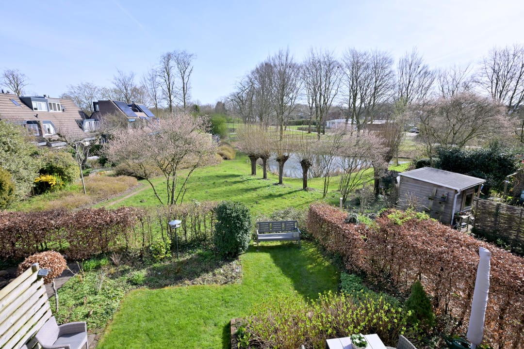 Foto 23 van Lijster 3