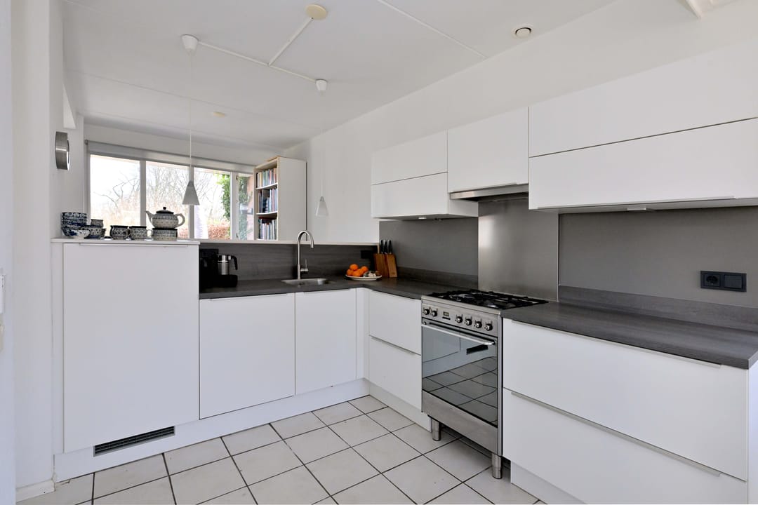 Foto 17 van Lijster 3