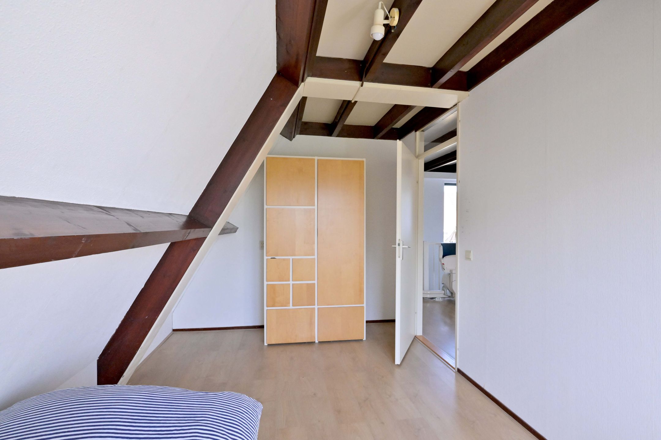 Foto 30 van Lijster 3