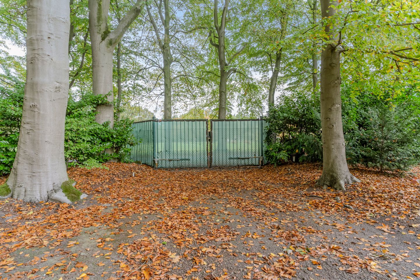 Foto 80 van Finantiën 2