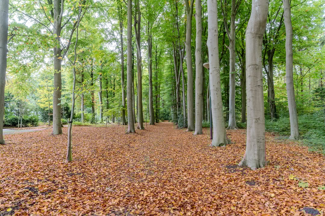 Foto 86 van Finantiën 2