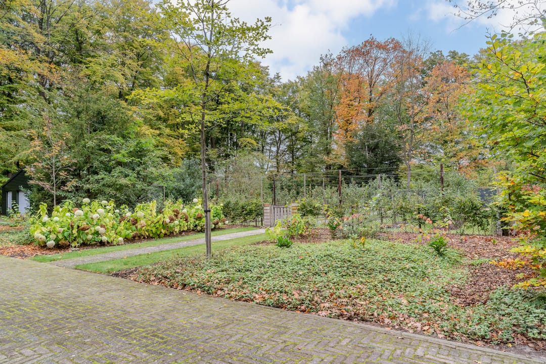 Foto 91 van Finantiën 2