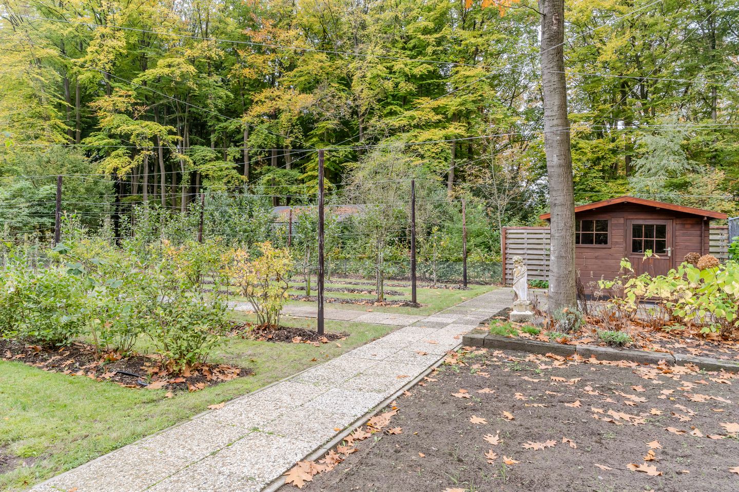 Foto 94 van Finantiën 2