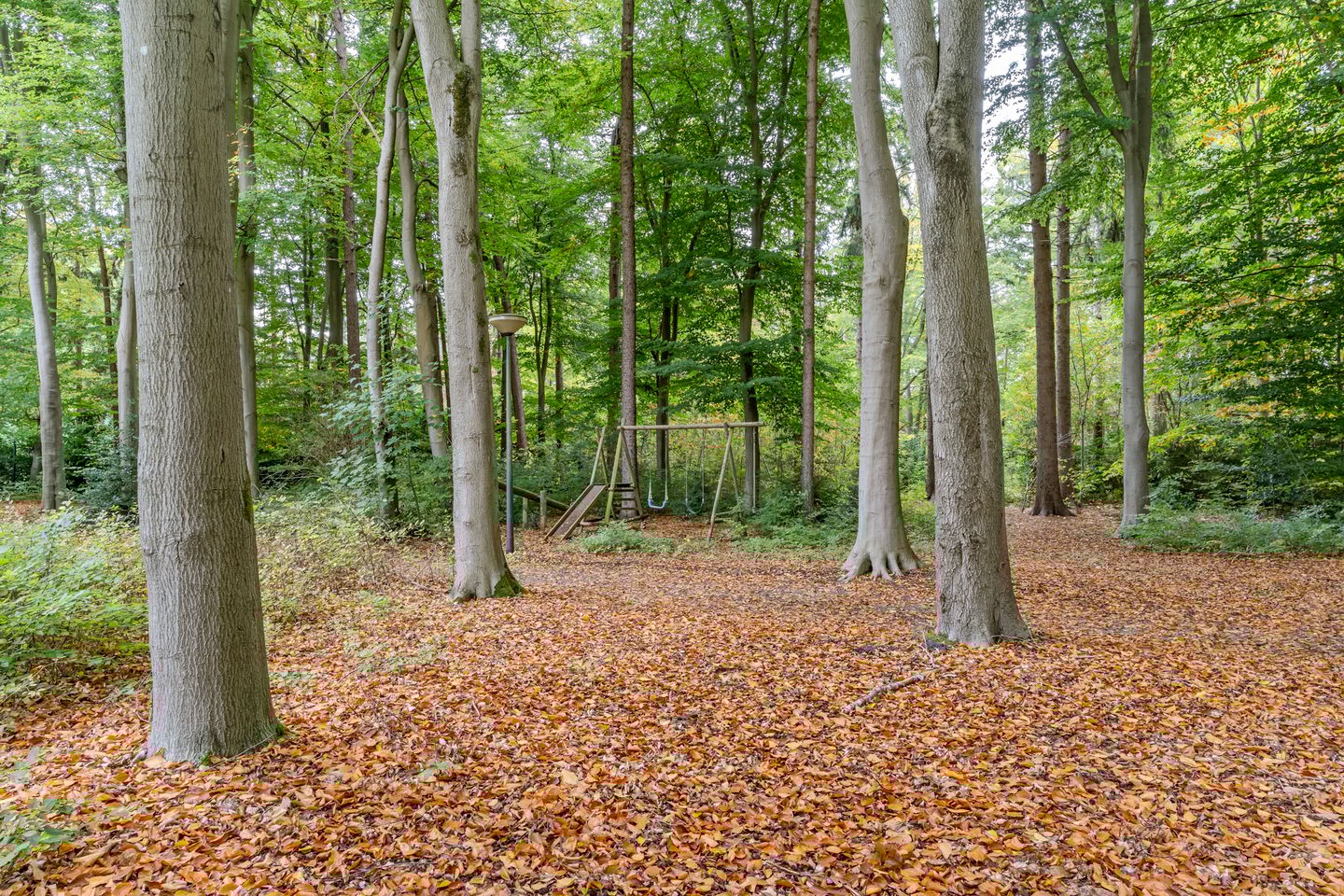 Foto 100 van Finantiën 2