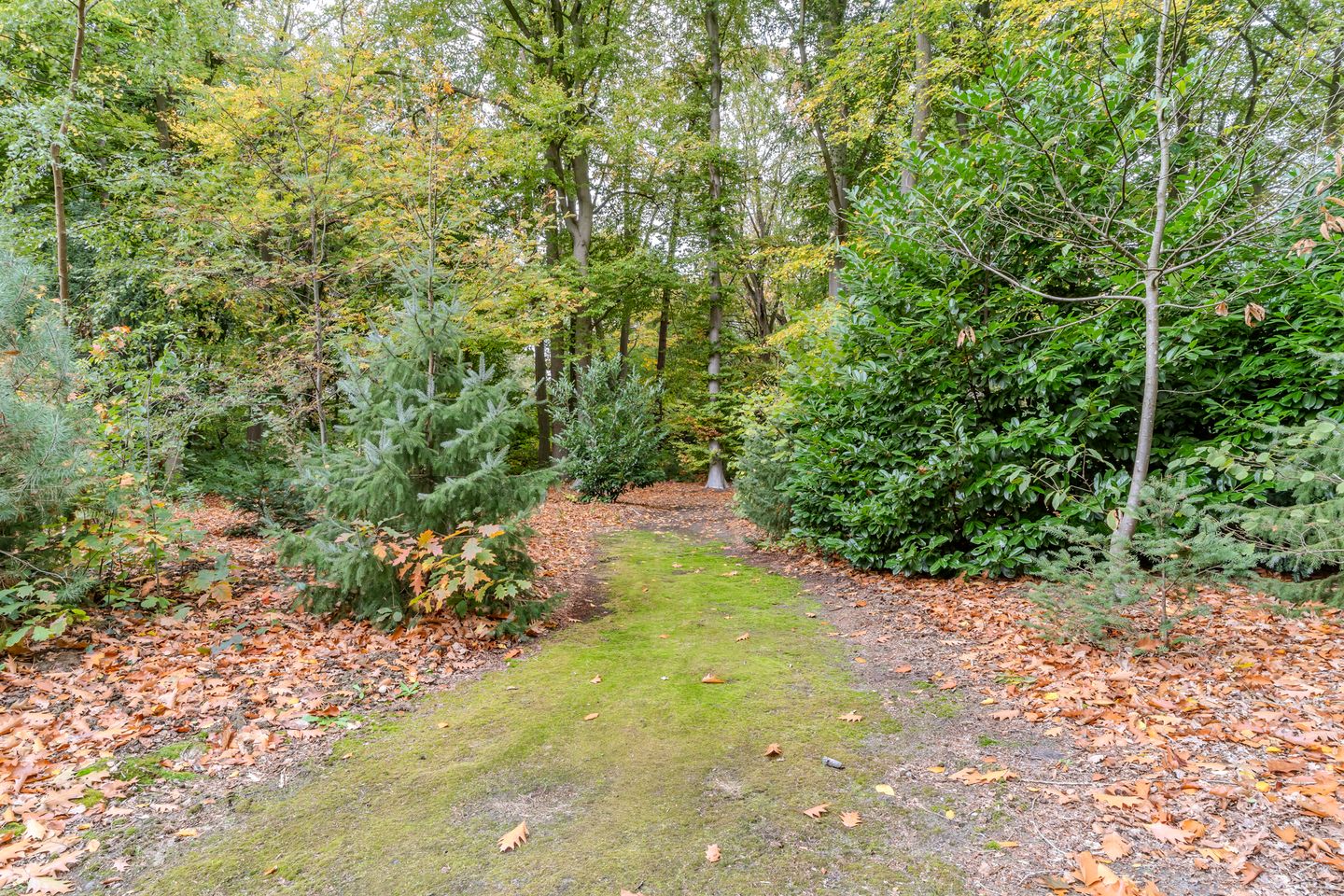 Foto 79 van Finantiën 2