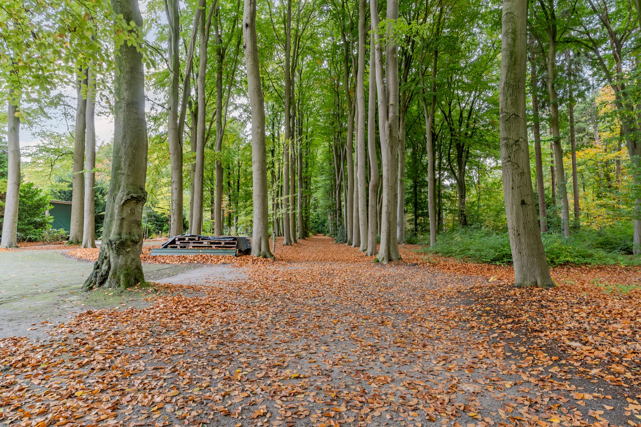 Foto 84 van Finantiën 2