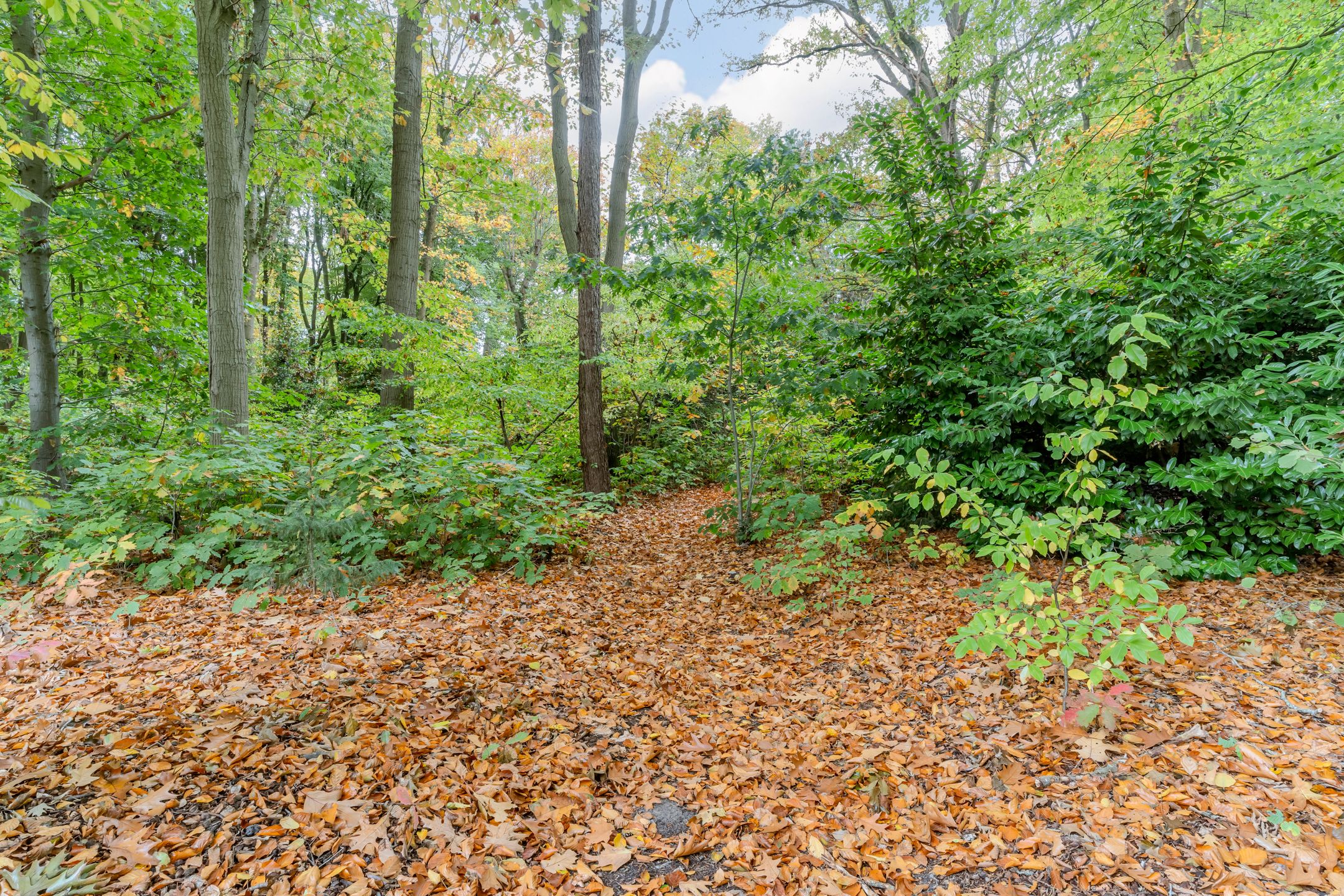 Foto 81 van Finantiën 2