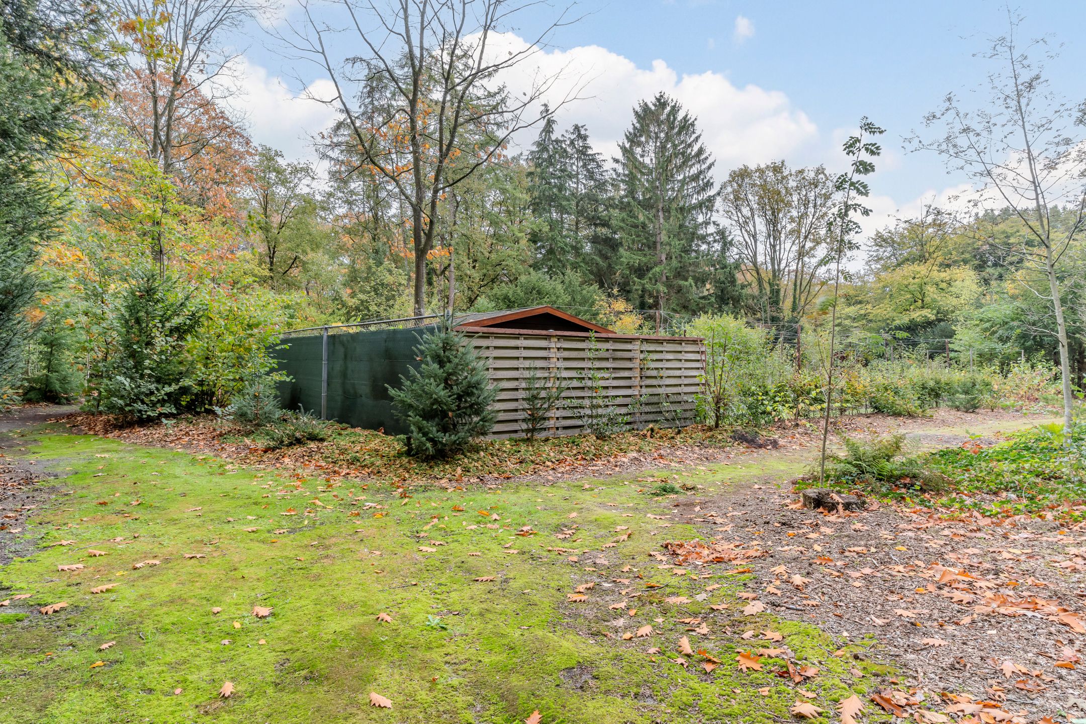 Foto 78 van Finantiën 2