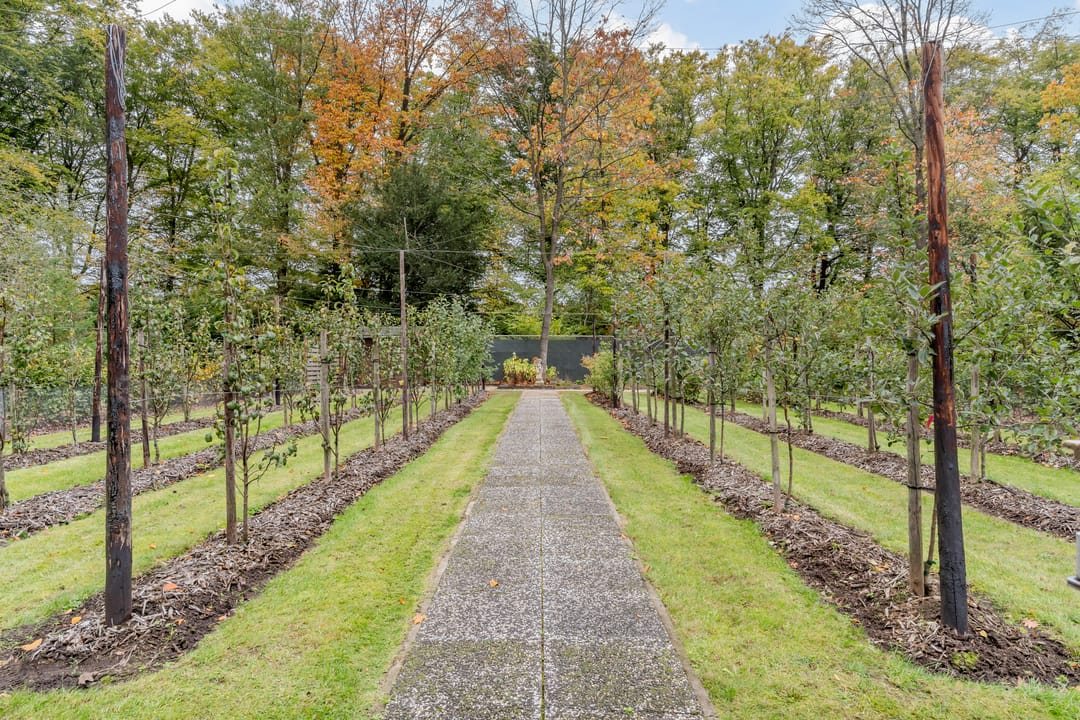 Foto 92 van Finantiën 2