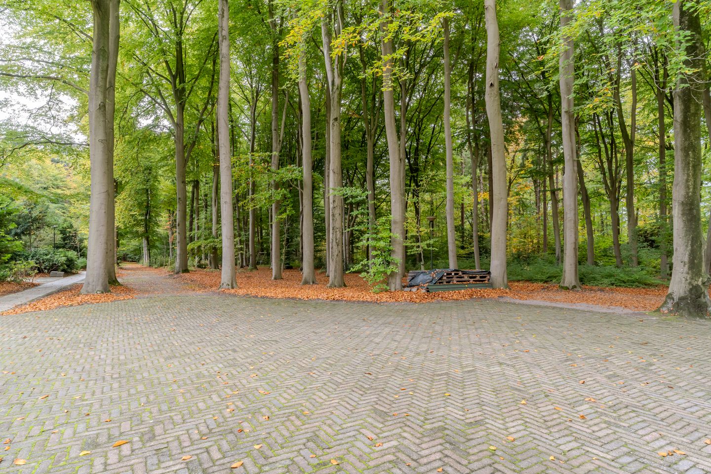 Foto 89 van Finantiën 2