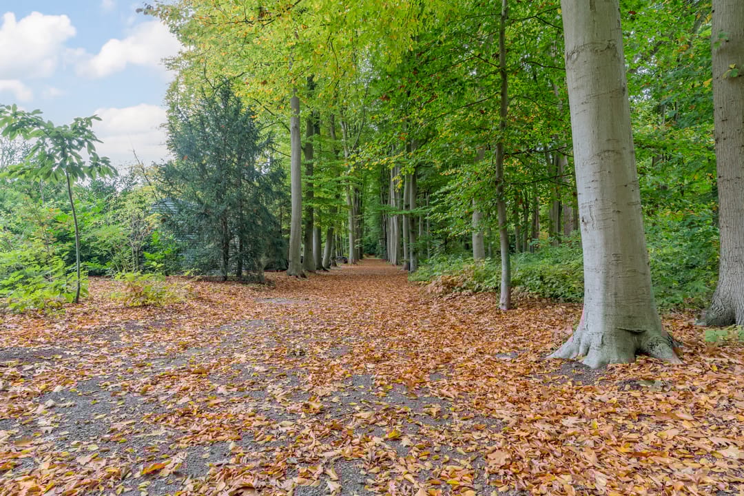 Foto 82 van Finantiën 2