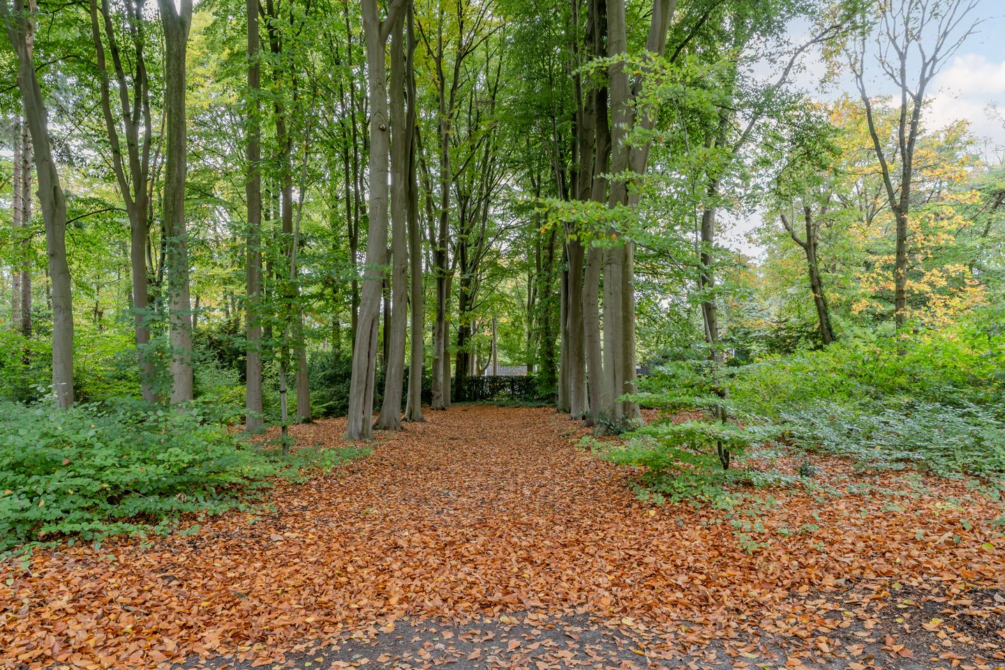 Foto 85 van Finantiën 2