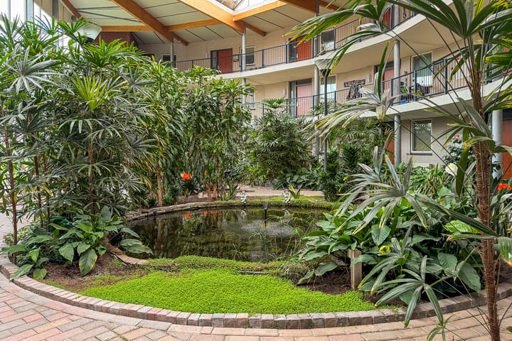 Foto 3 van Goudreinet 79