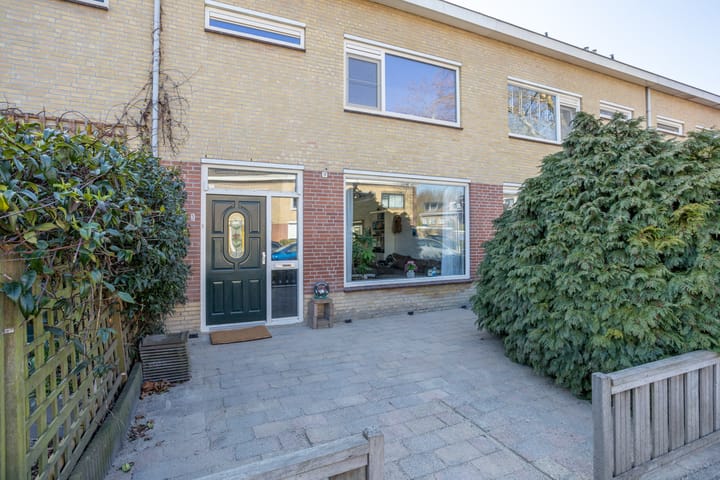 Photo 2 of Duinroos 3