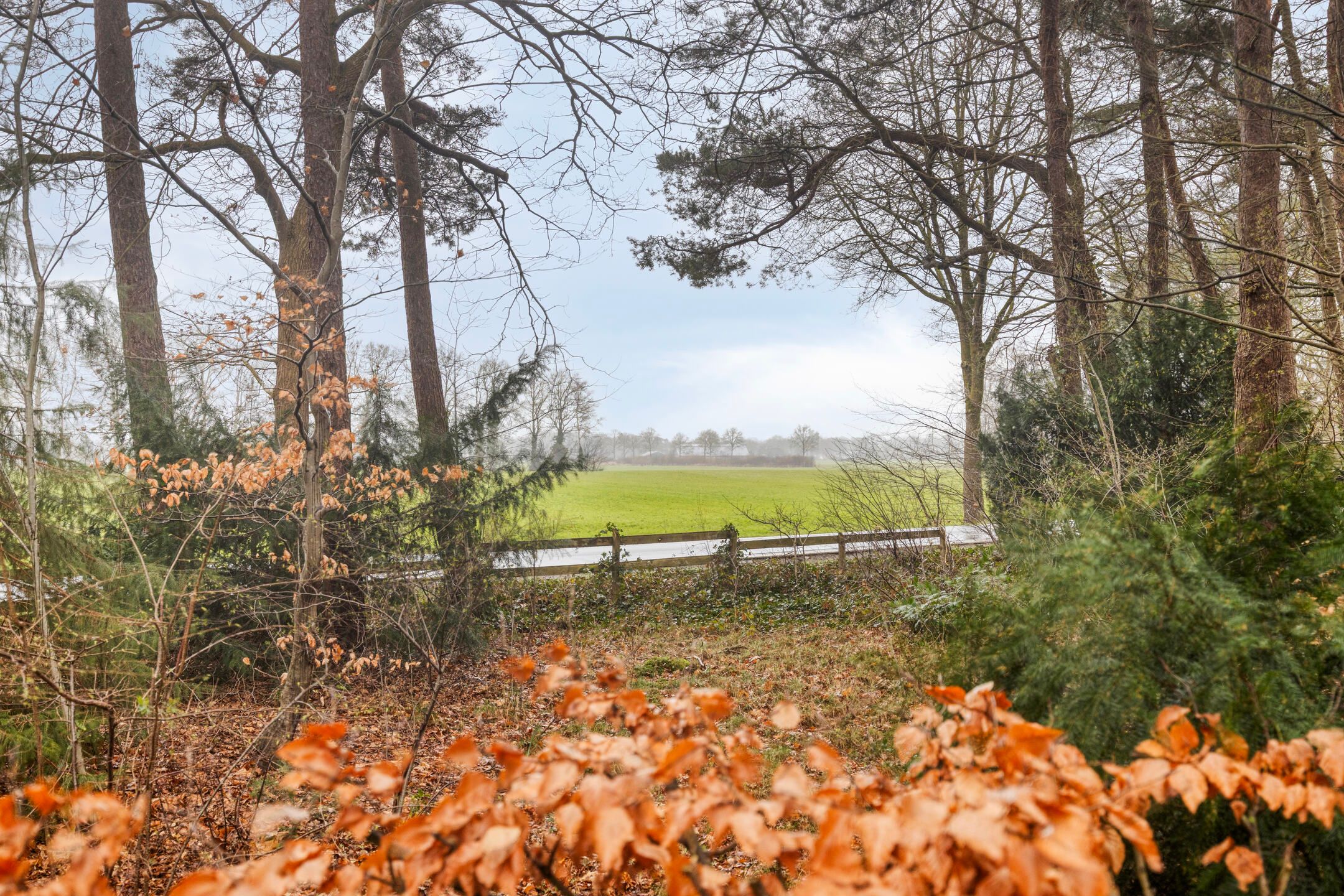 Photo 42 of Bronsvoorderdijk 9