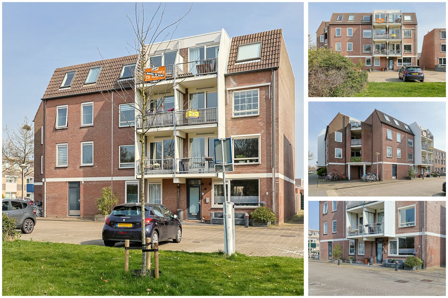 Photo 5 of Schelfhorst 5