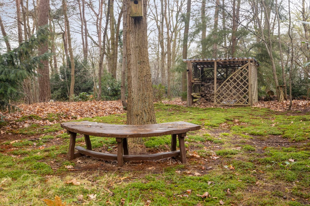 Photo 41 of Bronsvoorderdijk 9