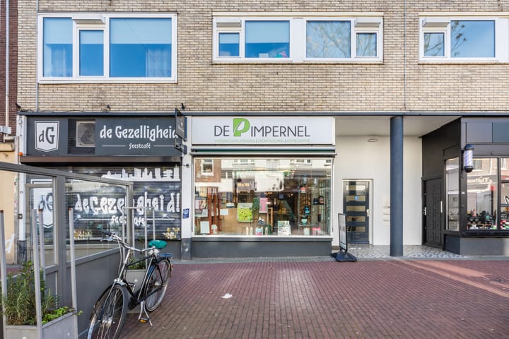 Bloemerstraat 44