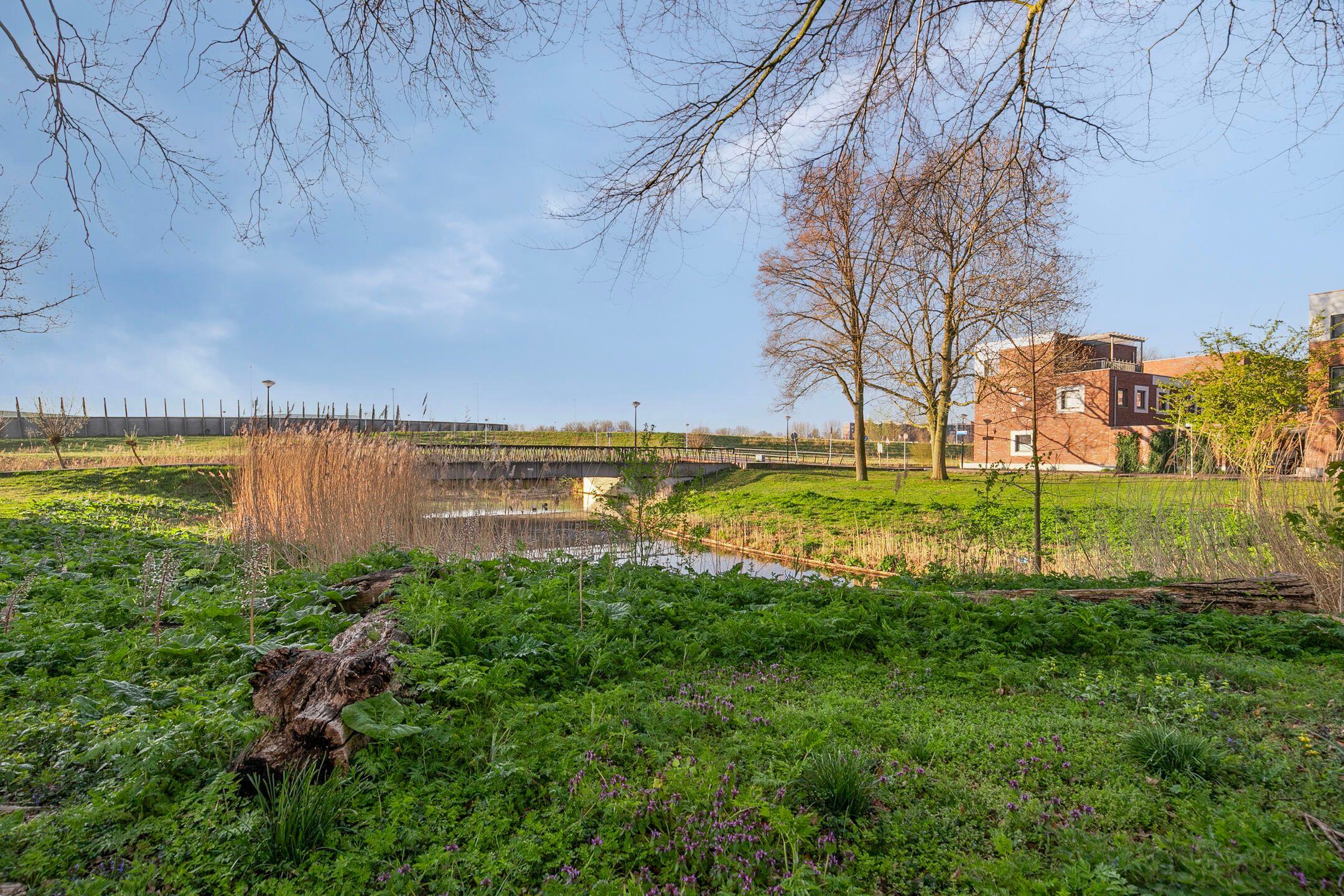 Foto 33 van Komijnstraat 55