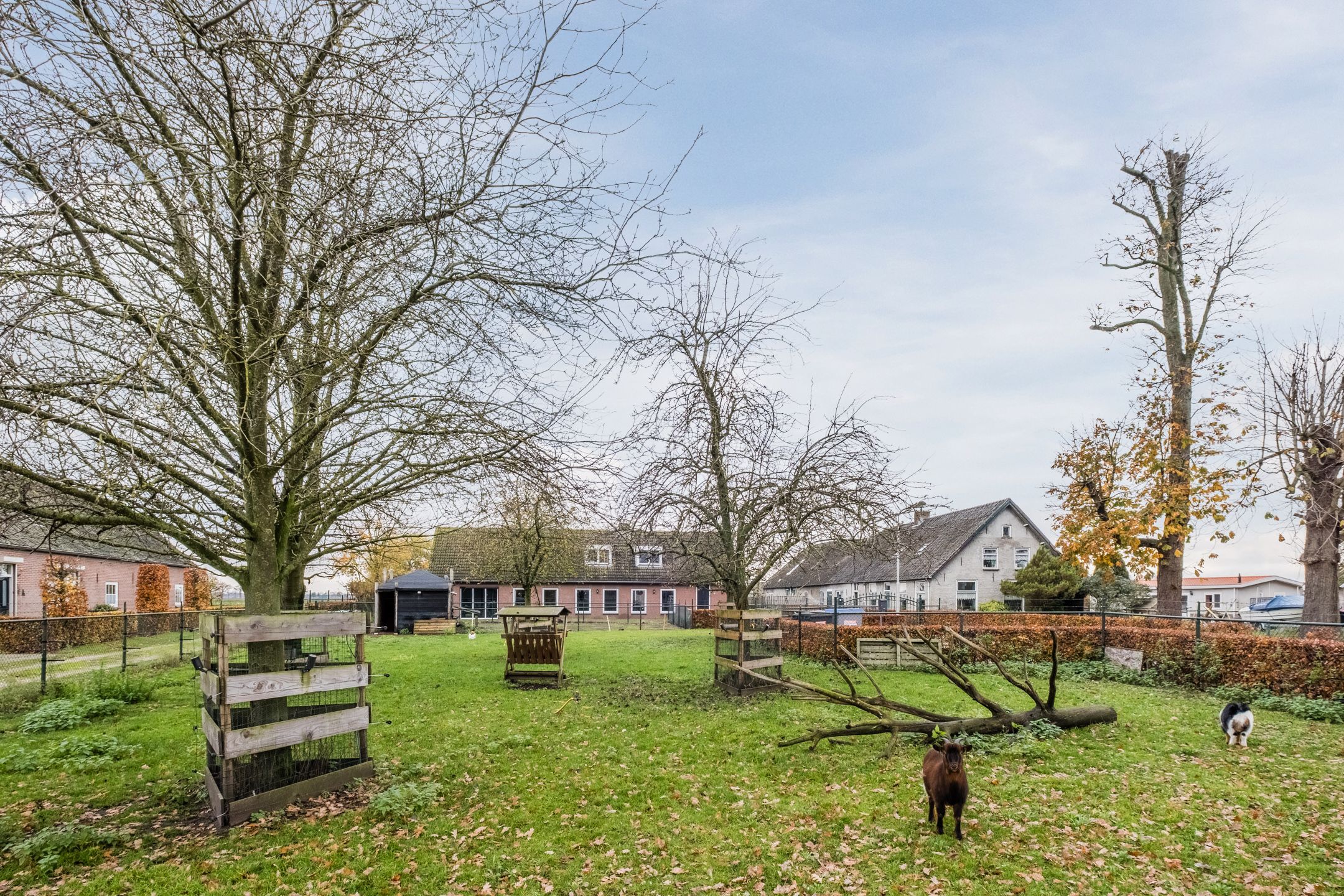 Foto 51 van Jekschotstraat 11-A